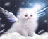 [ARG] Cat Angel