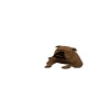 {LS} Brown Bulldog