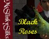 (MSS) Rose, Black