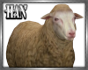 [H]Sheep ►Furn