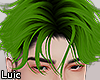 LC. Agatho Green N. Hair