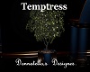 temptress tree