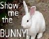 show me the bunny