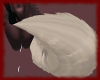 LC- Skull Tail 2