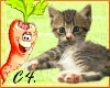 C4** KittySticker