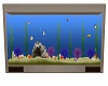 Wall Fish Tank