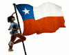 FLAG CHILE POSES (KL)