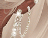 *Ariana Hoops*