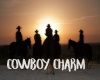 Cowboy Sunset Rug {RH}