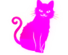 Glow Animated Cat
