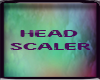 *SW* Head Scaler