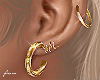 𝒊 | Gold Earrings