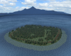 Forest Island