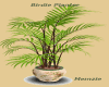 Plant and Bird Pot
