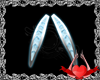 Lop Ears M/F