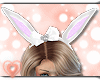 💗 Bunny Ears