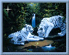White Tigers Waterfall