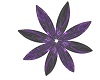 Dragon Purple Flower