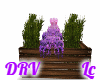 Derviable Flower Box