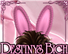 Desty Bunny Ears