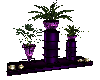 purple dreams plant #2