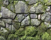 Old Stone Rocks w/ Moss