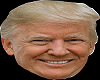 Donald Trump 4.0 Head