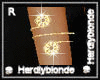 HB* Golden Aura AB (R)