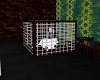 mice cage (basement rm)
