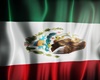 Mexico flag