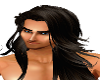 Dark Brown Stewart