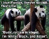 Pandas: racism is stupid
