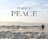 ♔ Pursue Peace