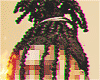Boonk Gang Locs
