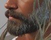 Mature Beard