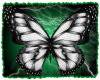 Electric Green Butterfly