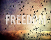 -CK- Freedom