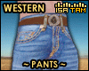 ! Western Pants Cowboy