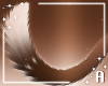 A! Ginger tail v4