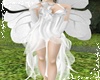 Fairy