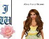 JW Abra Fairy Brown
