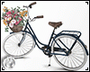 !! Flower Bicycle
