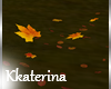 [kk] Lake Fall Leaves
