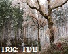 The Dragons Breath dub