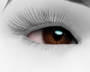 M' Brown Eyes