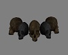 3 sitting pose skull