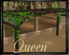!Q Pergola Ivy