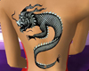 [SXY] Dragon Full Back