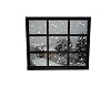 aminated snow window