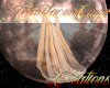 (T)Empress Cape Orange1